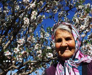Badem Çiçeği Zamanı ve Festivali Datça Turu (5* Grand Yazıcı Club Turban Termal Otel Konaklama)