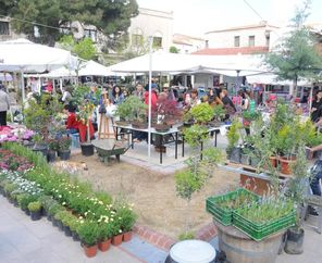 Alaçatı Ot Festivali ve Çeşme Turu