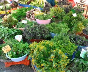 Alaçatı Ot Festivali ve Çeşme Turu