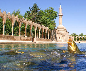 Sömestr Özel UÇAKLI GAP TURLARI (4 Gün 3 Gece)