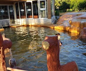 Pamukkale Bağbaşı Yaylası Buldan Turu (5* Termal Otel Konaklama)