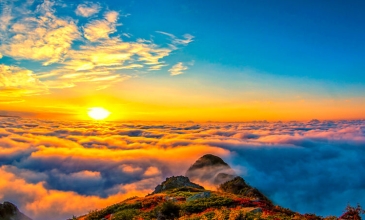 Uçaklı Butik Doğu Karadeniz Turu (Yayla ve Batum Konaklamalı)