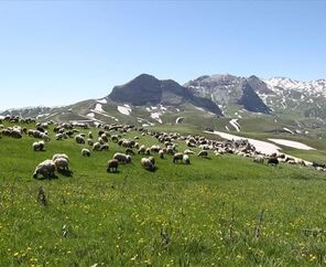 Yeni Rota: Uçaklı Yüksekova Hakkari Şırnak Cizre Midyat Turu (4 Gün 3 Gece)
