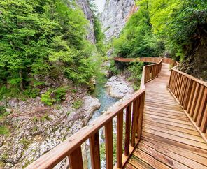Batı Karadeniz Turu yeni