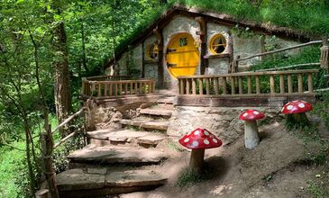 Ormanya, Maşukiye, Kartepe Kayak Merkezi Turu (Günübirlik)