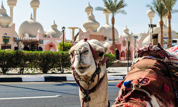 Kahire ve Sharm El Sheikh Turu (8 Gün 7 Gece) Herşey Dahil Oteller