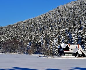 Yedigöller Abant Gölcük Ormanya Maşukiye İznik Gölyazı Turu 2023