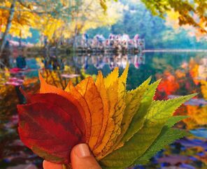 Yedigöller Abant Gölcük Ormanya Maşukiye İznik Gölyazı Turu 2023