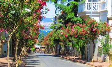 İstanbul & Uludağ Turu (Sömestr Özel)