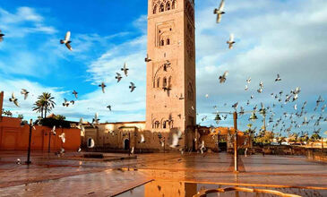 Elegant Fas & Çöl Safari Turu Air Arabia Hava Yolları ile 4 Gece