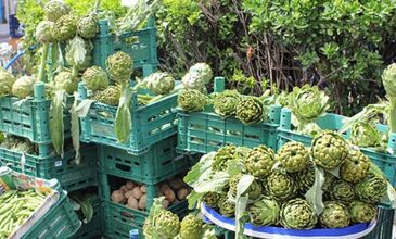 URLA ENGİNAR FESTİVALİ