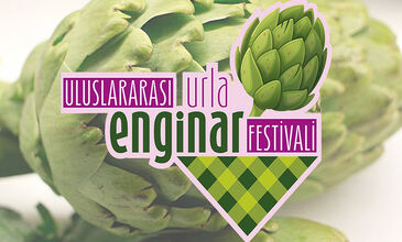 URLA ENGİNAR FESTİVALİ