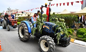 URLA ENGİNAR FESTİVALİ