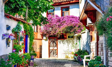 Bursa Trilye Mudanya  Cumalıkızık Gölyazı Turu