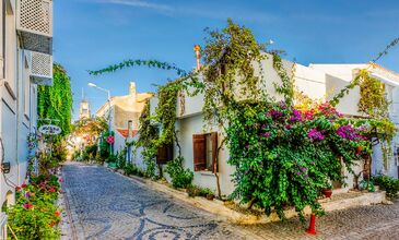 Bozcaada Assos Turu (Haftasonu Fırsatı)