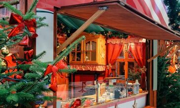 Noel Zamanı Alsace & Colmar Turu (Almanya-Fransa-İsviçre`nin Masalsı Kentleri, Köyleri ve Kasabaları)