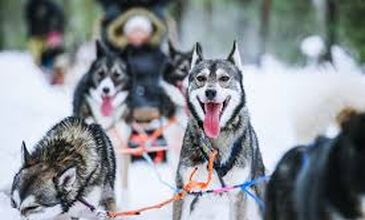 Kuzey Işıkları ve Lapland Turu İzmir`den Direkt Uçuş  (Sömestr Özel - Kampanya)