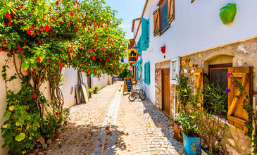 Günübirlik Seferihisar Mandalina Şenliği