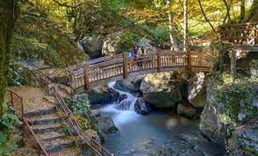 Düzce Şelaleleri Efteni Gölü Akçakoca Maşukiye Turu