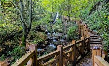 Düzce Şelaleleri Efteni Gölü Akçakoca Maşukiye Turu