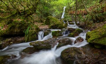Düzce Şelaleleri Efteni Gölü Akçakoca Maşukiye Turu