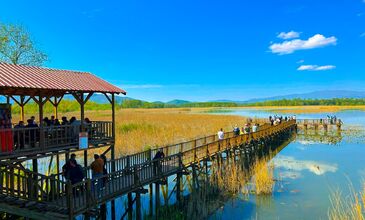 Düzce Şelaleleri Efteni Gölü Akçakoca Maşukiye Turu