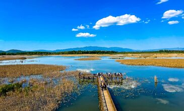 Düzce Şelaleleri Efteni Gölü Akçakoca Maşukiye Turu