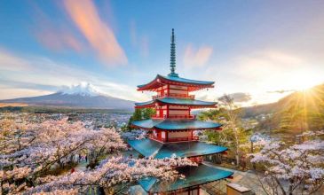 Dolu Dolu Sakura Dönemi Japonya & Kore Turu Mistik Rotalar 10 Gün 7 Gece