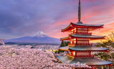 Dolu Dolu Sakura Dönemi Japonya & Kore Turu Mistik Rotalar 10 Gün 7 Gece