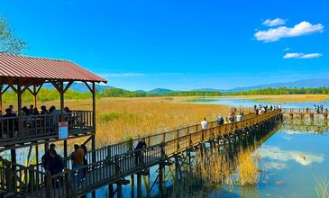 Düzce Şelaleleri Efteni Gölü Akçakoca Maşukiye Turu