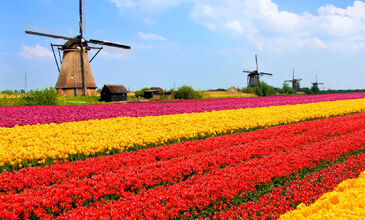 İzmir'den Direkt Sefer ile Bayrama Özel Belçika & Hollanda Turu Rotası (3 Gece)