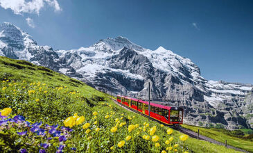 Kurban Bayramı Özel Almanya Fransa İsviçre Turu (Alpler`de Tren Yolculuğu ve Alsace Colmar)