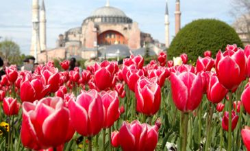 Lale ve Erguvan Zamanı İstanbul Turu (2 Gece Konaklamalı)